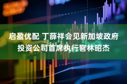 启盈优配 丁薛祥会见新加坡政府投资公司首席执行官林昭杰