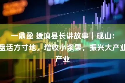 一鼎盈 援滇县长讲故事｜砚山：盘活方寸地，增收小浆果，振兴大产业