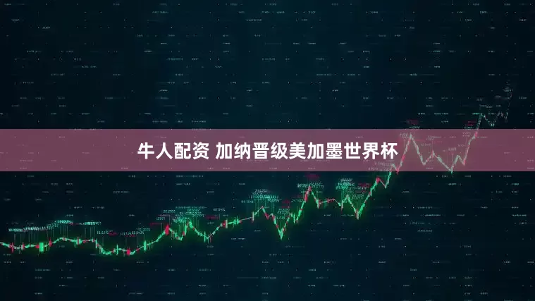 牛人配资 加纳晋级美加墨世界杯